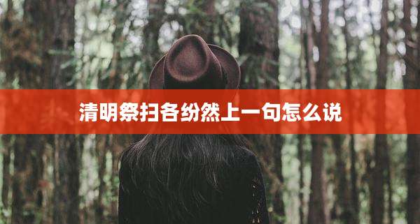 清明祭扫各纷然上一句怎么说