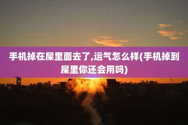 手机掉在屎里面去了,运气怎么样(手机掉到屎里你还会用吗)