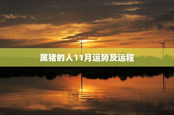 属猪的人11月运势及运程