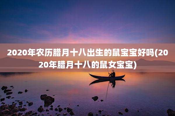 2020年农历腊月十八出生的鼠宝宝好吗(2020年腊月十八的鼠女宝宝)
