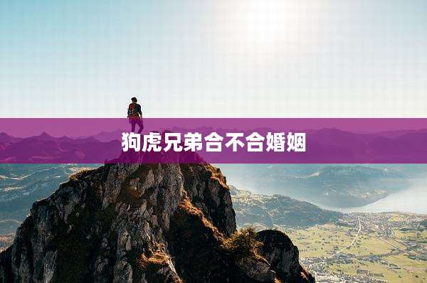 狗虎兄弟合不合婚姻