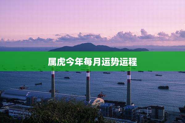 属虎今年每月运势运程