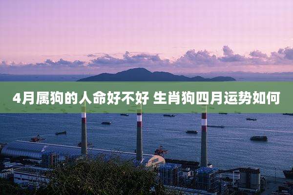 4月属狗的人命好不好 生肖狗四月运势如何