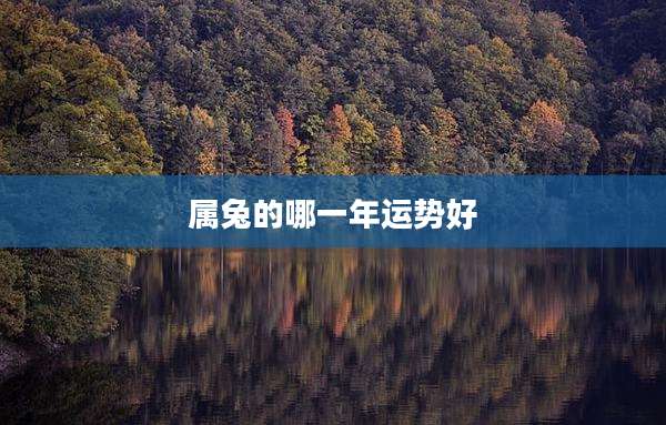 属兔的哪一年运势好
