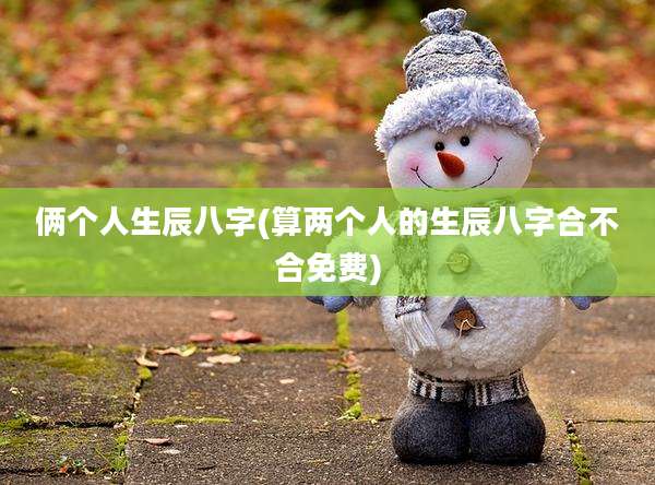 俩个人生辰八字(算两个人的生辰八字合不合免费)