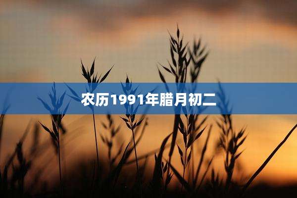 农历1991年腊月初二