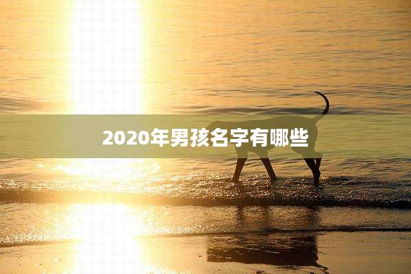 2020年男孩名字有哪些