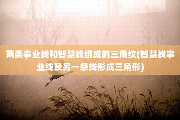 两条事业线和智慧线组成的三角纹(智慧线事业线及另一条线形成三角形)