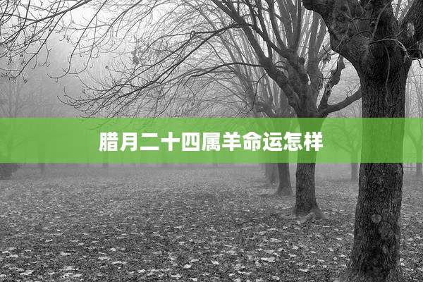 腊月二十四属羊命运怎样