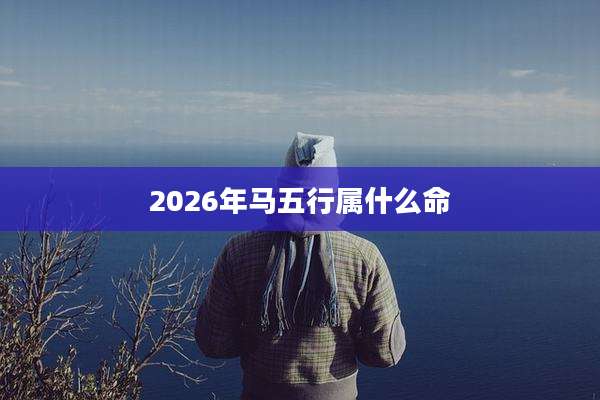 2026年马五行属什么命