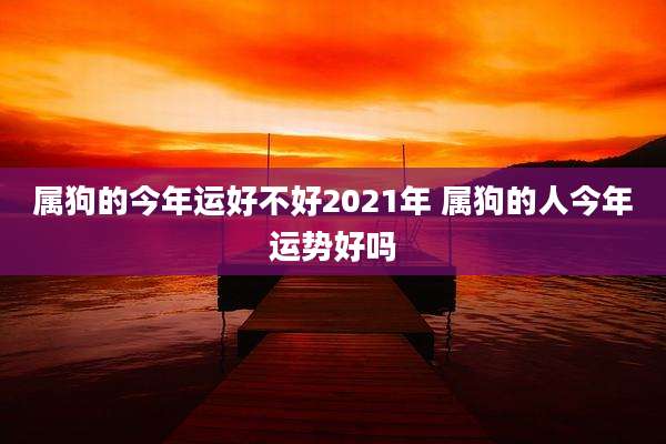 属狗的今年运好不好2021年 属狗的人今年运势好吗