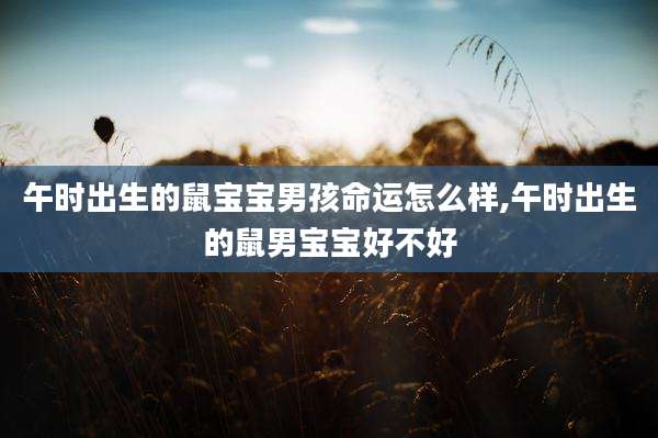 午时出生的鼠宝宝男孩命运怎么样,午时出生的鼠男宝宝好不好