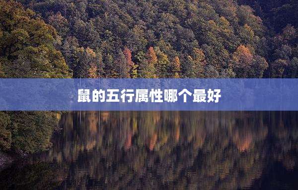 鼠的五行属性哪个最好