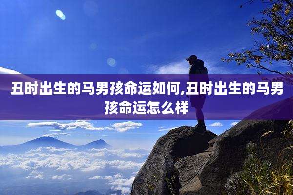 丑时出生的马男孩命运如何,丑时出生的马男孩命运怎么样