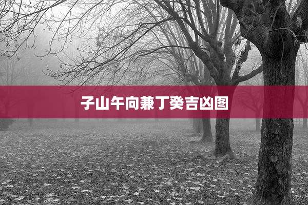 子山午向兼丁癸吉凶图