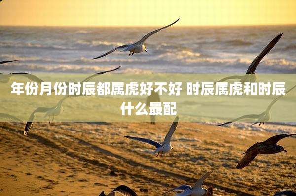 年份月份时辰都属虎好不好 时辰属虎和时辰什么最配