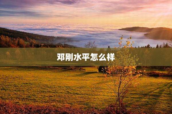 邓刚水平怎么样