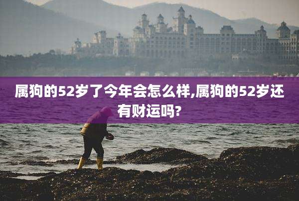 属狗的52岁了今年会怎么样,属狗的52岁还有财运吗?
