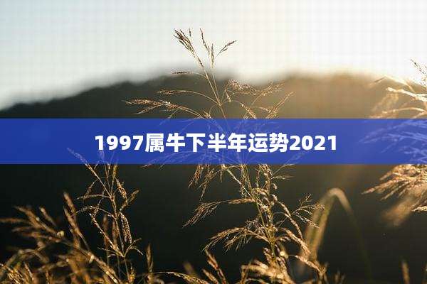 1997属牛下半年运势2021