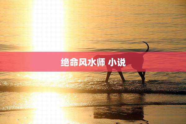 绝命风水师 小说