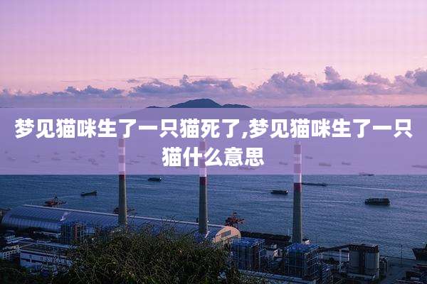 梦见猫咪生了一只猫死了,梦见猫咪生了一只猫什么意思