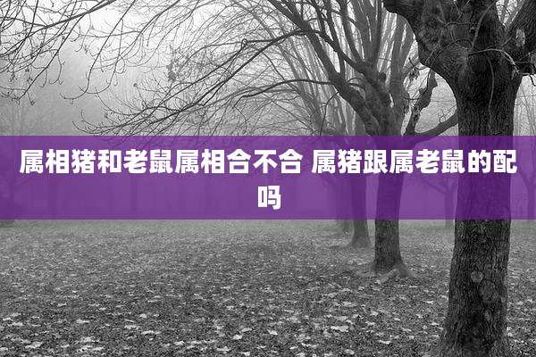 属相猪和老鼠属相合不合 属猪跟属老鼠的配吗