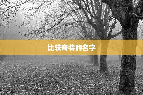 比较奇特的名字