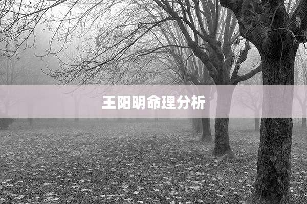王阳明命理分析