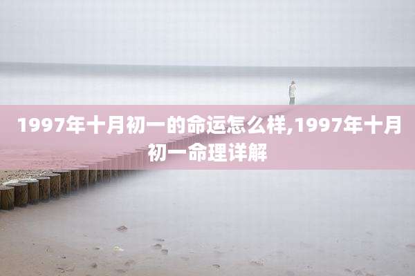 1997年十月初一的命运怎么样,1997年十月初一命理详解
