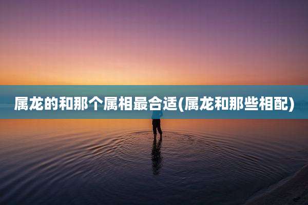 属龙的和那个属相最合适(属龙和那些相配)