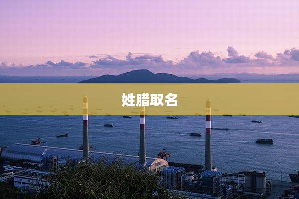 姓腊取名