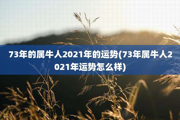 73年的属牛人2021年的运势(73年属牛人2021年运势怎么样)