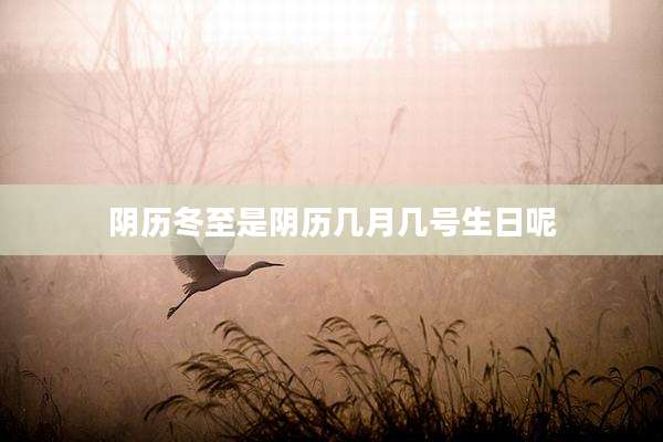 阴历冬至是阴历几月几号生日呢