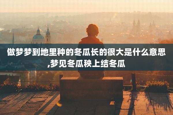 做梦梦到地里种的冬瓜长的很大是什么意思,梦见冬瓜秧上结冬瓜
