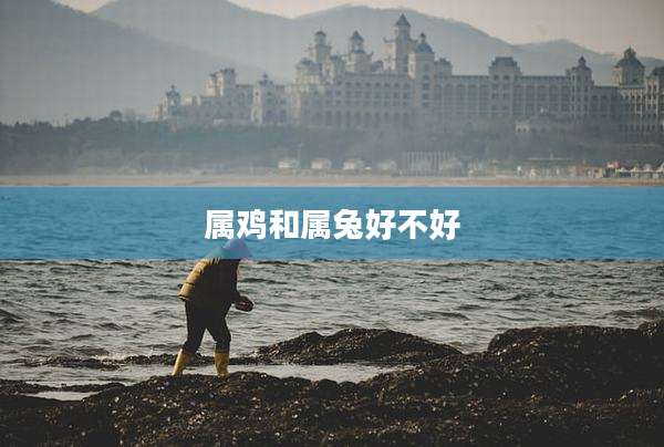 属鸡和属兔好不好