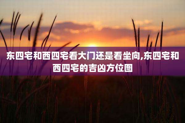 东四宅和西四宅看大门还是看坐向,东四宅和西四宅的吉凶方位图