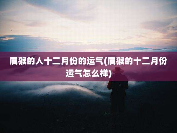 属猴的人十二月份的运气(属猴的十二月份运气怎么样)
