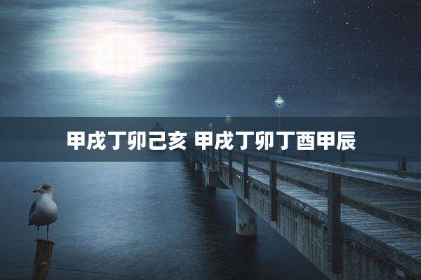 甲戌丁卯己亥 甲戌丁卯丁酉甲辰