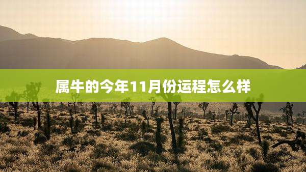 属牛的今年11月份运程怎么样
