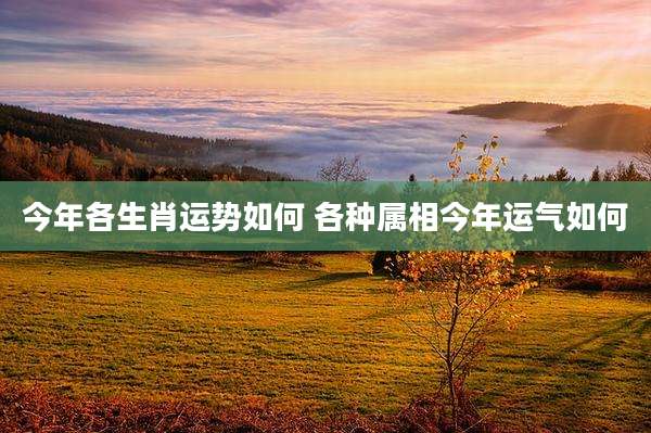 今年各生肖运势如何 各种属相今年运气如何