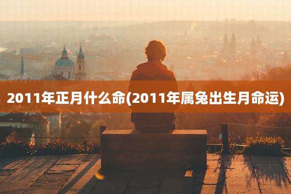 2011年正月什么命(2011年属兔出生月命运)