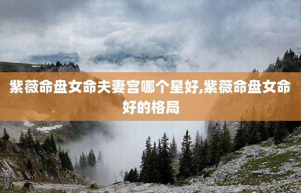 紫薇命盘女命夫妻宫哪个星好,紫薇命盘女命好的格局
