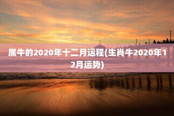 属牛的2020年十二月运程(生肖牛2020年12月运势)