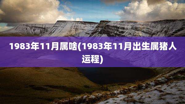 1983年11月属啥(1983年11月出生属猪人运程)