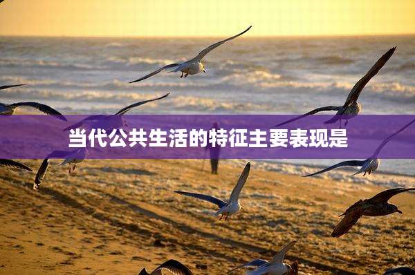 当代公共生活的特征主要表现是