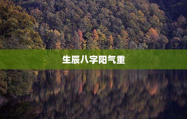 生辰八字阳气重