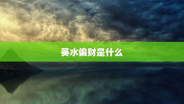 葵水偏财是什么