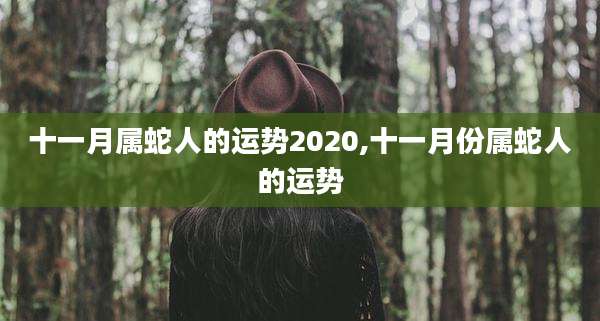 十一月属蛇人的运势2020,十一月份属蛇人的运势