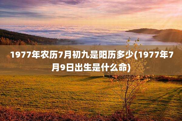 1977年农历7月初九是阳历多少(1977年7月9日出生是什么命)