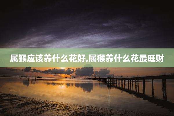 属猴应该养什么花好,属猴养什么花最旺财
